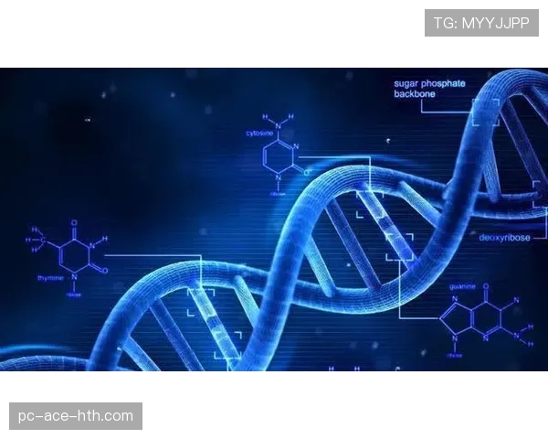 巴尔科拉技术是否粗糙？终结与盘带效率分析